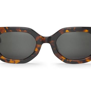 Parnell Cheetah with Classical Lenses