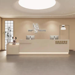 Modern Service Reception Desks Beauty Salon Executive Club Lectern Corner Reception Desks Shop Empfangstheke Luxury Furniture