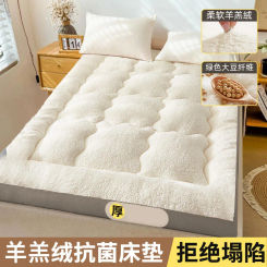 Super warm Fleece mattress Lamb autumn/Winter milk fleece soft cushion thickened fleece household cushion with bed mattress