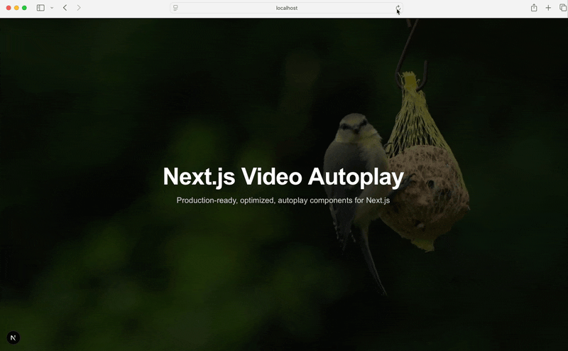 Full-screen hero with autoplaying video background