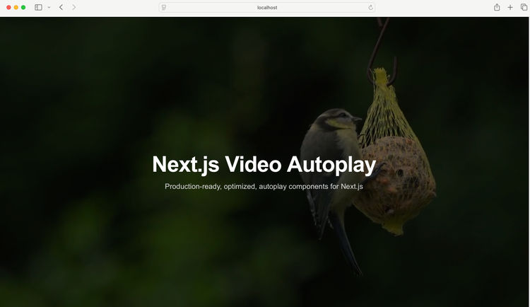 How to Fix Autoplay Video in Next.js