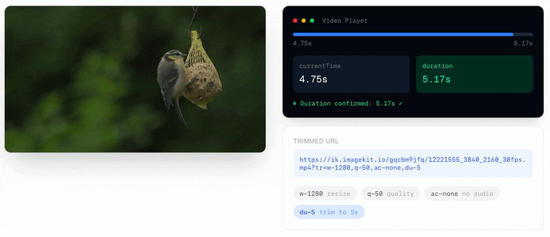 Trimmed video showing 5 second duration in the browser player