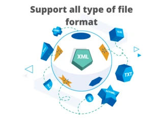 CSV, XML, Excel, EDI, .TXT