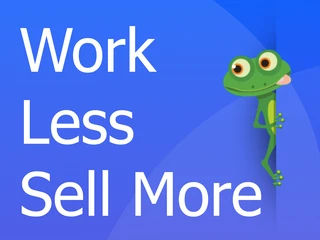 Manage eBay like a pro