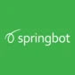 Springbot Email and Paid Ads