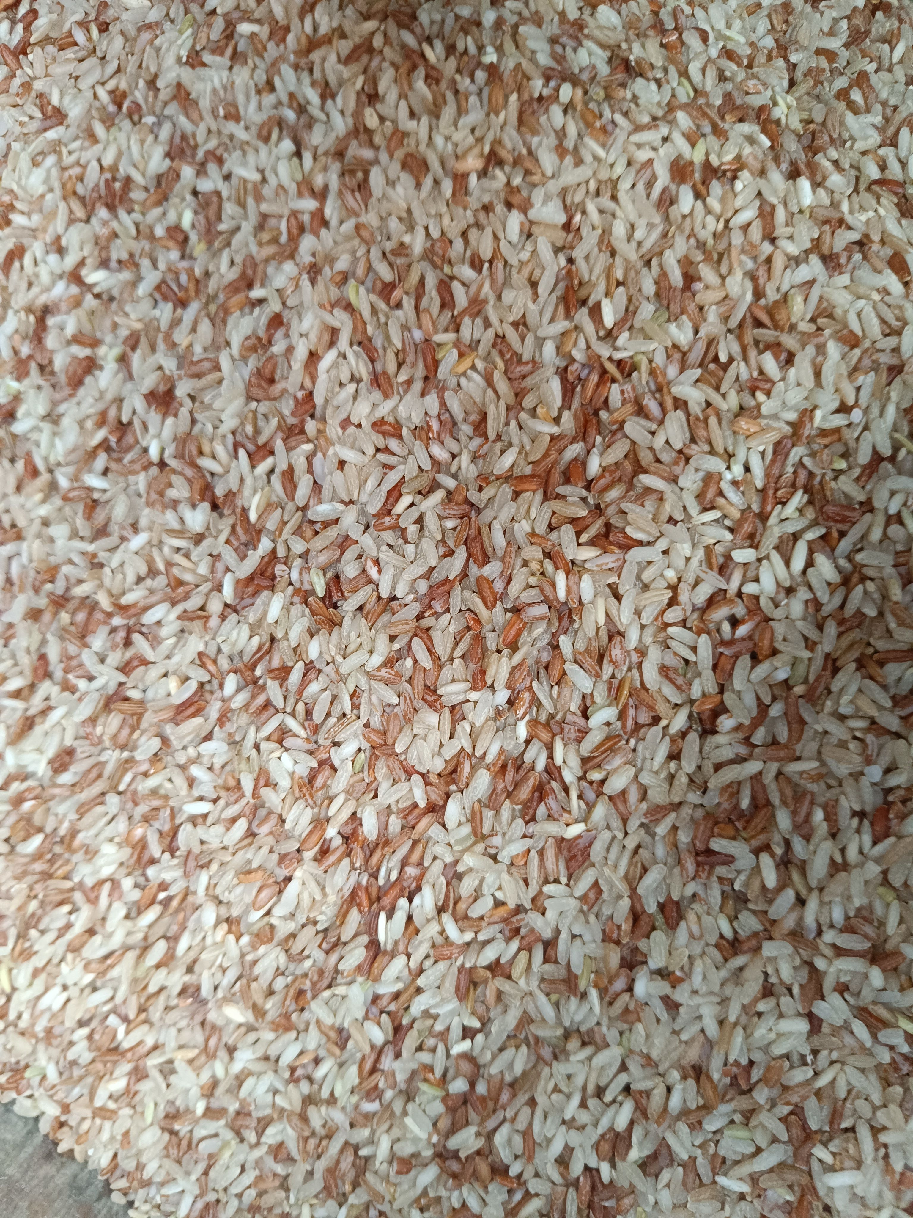 Rajmudi  rice