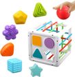 Toyshine Shape Sorter Toy