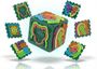 Webby Multi-Activity Cube
