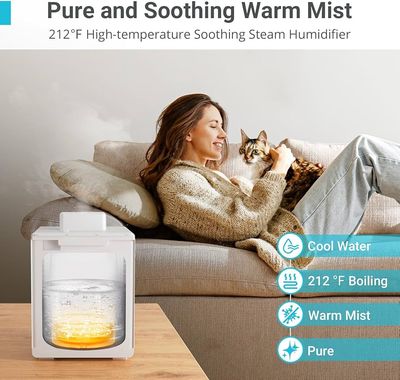 Basic Warm Mist Room Humidifier with Humidity Meter — buy on Amazon India