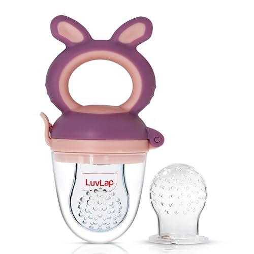Chicco Fruit Teether