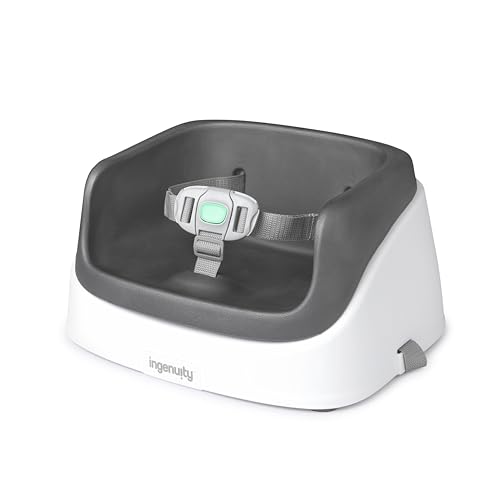 Ingenuity SmartClean High Chair