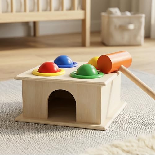 Toyshine Wooden Shape Sorter Toy for Kids