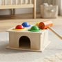 Toyshine Shape Sorter
