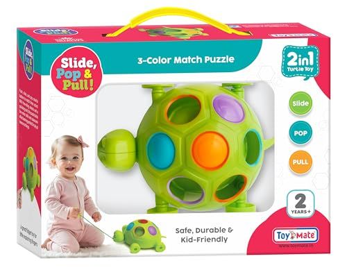 Toyshine Push Along Turtle Toy