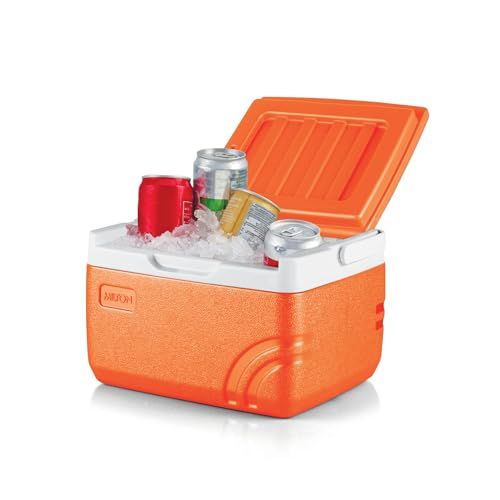Milton Insulated Lunch Box with Ice Pack