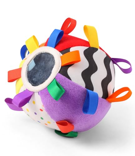 Fisher-Price Textured Activity Sensory Ball