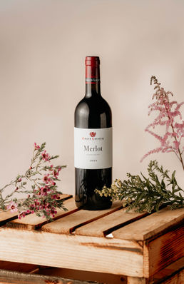 Magnum Cépage Merlot IGP 2024