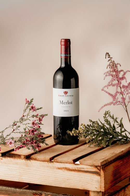 Cépage Merlot IGP Vin de Pays d'Oc 2024