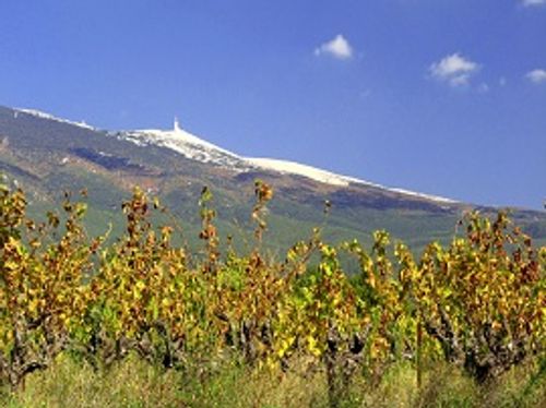 Ventoux AOC 2024
