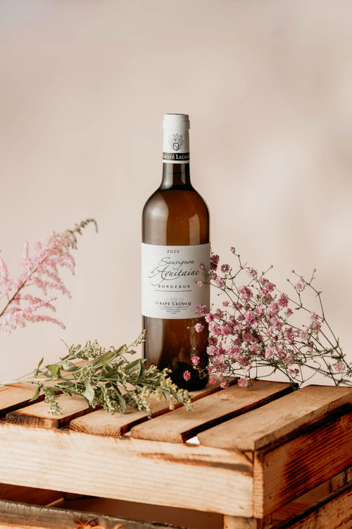 /2 Sauvignon d'Aquitaine 2025