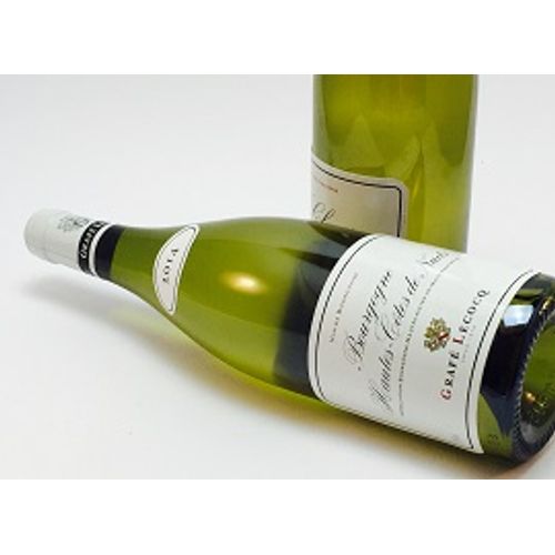 Hautes Côtes de Beaune Blanc 2023 BIO