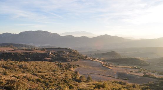 Ontdekking "Languedoc Roussillon"