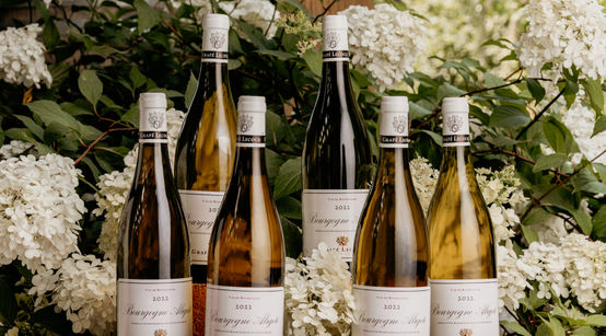 Bourgogne Aligoté 2022 - 5+1 Gratuite