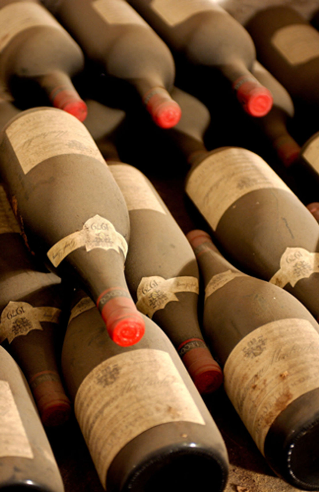 Concours de nos dégustations de fin d'année