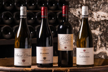 De 4 onmisbare wijnen voor herfst en winter 🍷