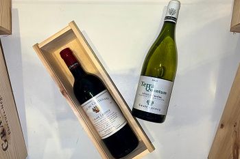 Ancien millésime ou vins jeunes : le duel