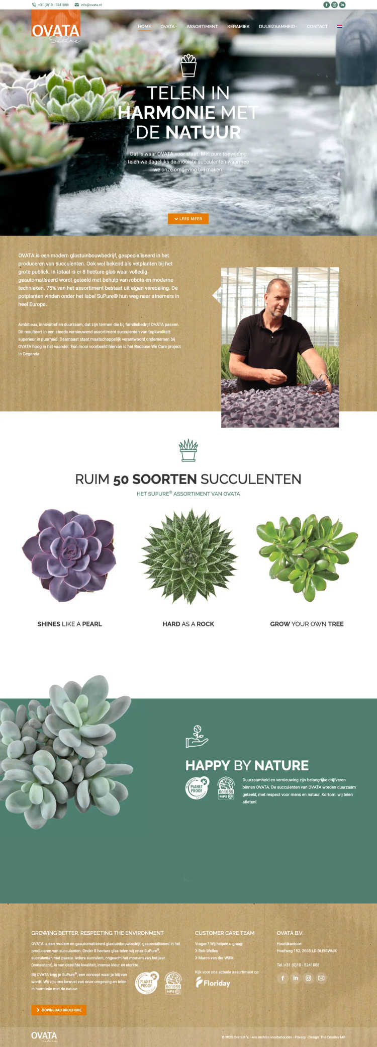 ovata showcase