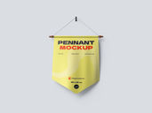 Pennant Flag Low Angle View Preview 1