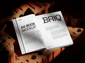 Briq Book Mockup 01
