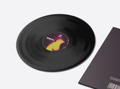 Vinyl Cover Mockup Back Half Side View Preview 4