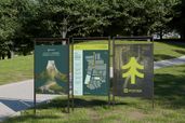 Urban Park Stand Poster Billboard Mockup View 2