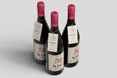 Glass20wine20bottle20packaging20mockup20for20branding20preview202
