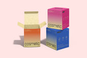 Cosmetic Box Packaging Mockup For Branding 2