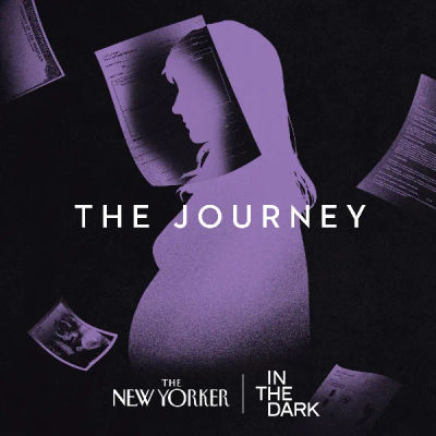 In The Dark: The Journey podcast artwork