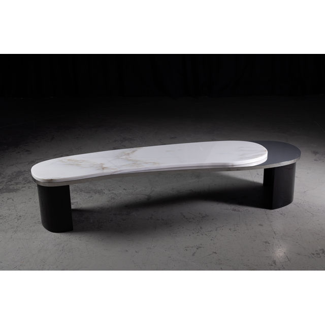 Armona Modern Coffee Table