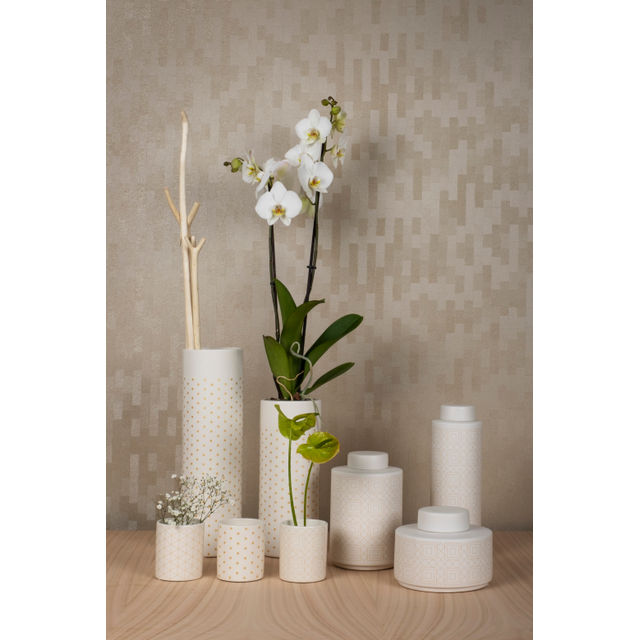 Steele & Graham Ceramic Vases Set/8