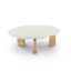 Dornes Modern Coffee Table