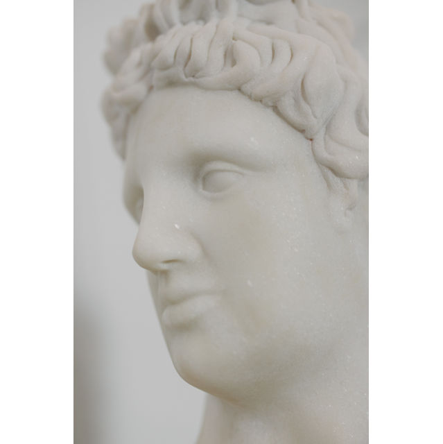 David Bust, Calacatta Bianco Marble