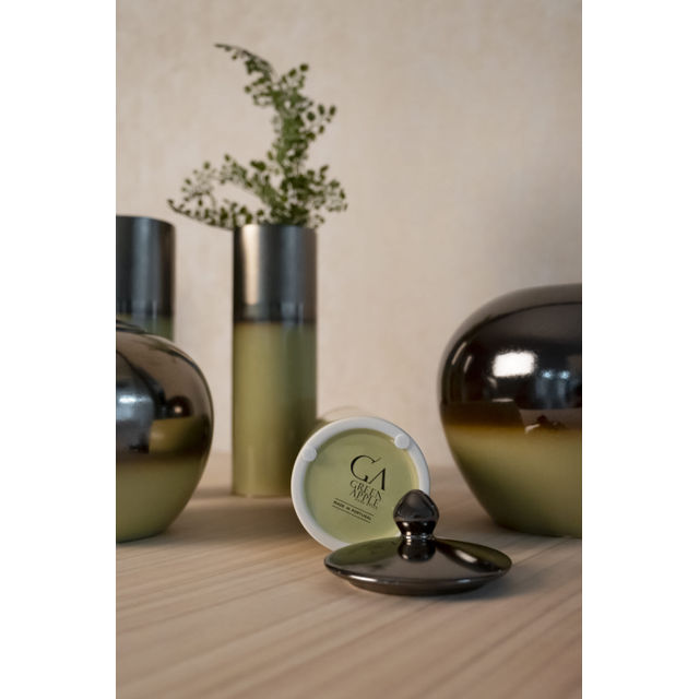 Steele & Taylor Ceramic Vases Set/5