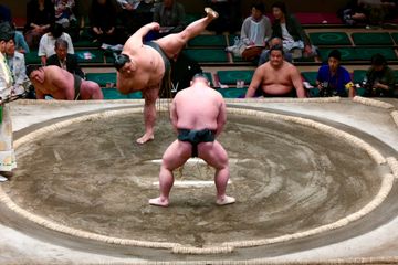 sumo wrestling