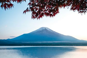 fuji koyo