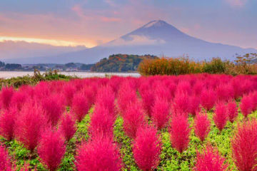 fuji october