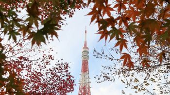 tokyo october