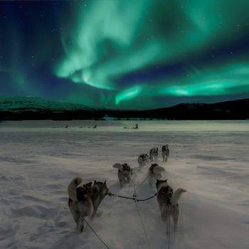 northen lights