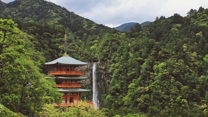 wakayama