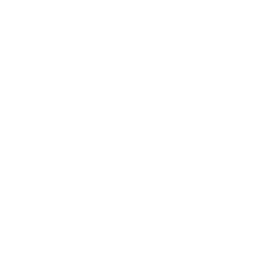 icon-responsive